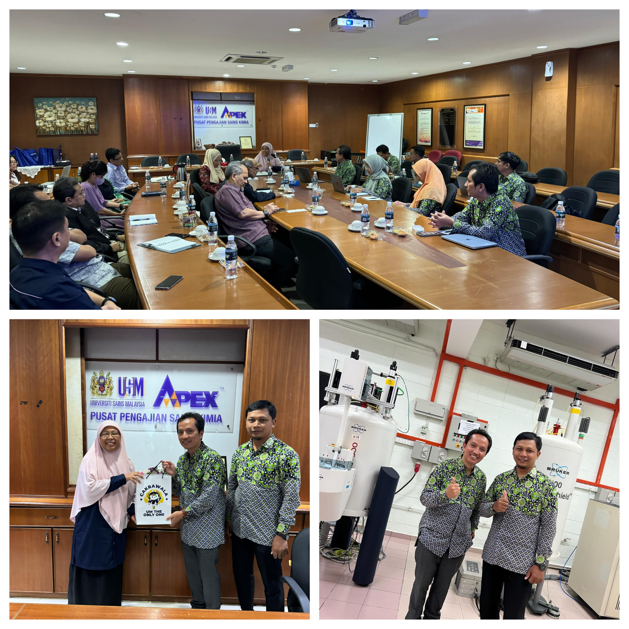 Kerjasama Departemen Kimia UM dengan The School of Chemical Sciences USM Malaysia