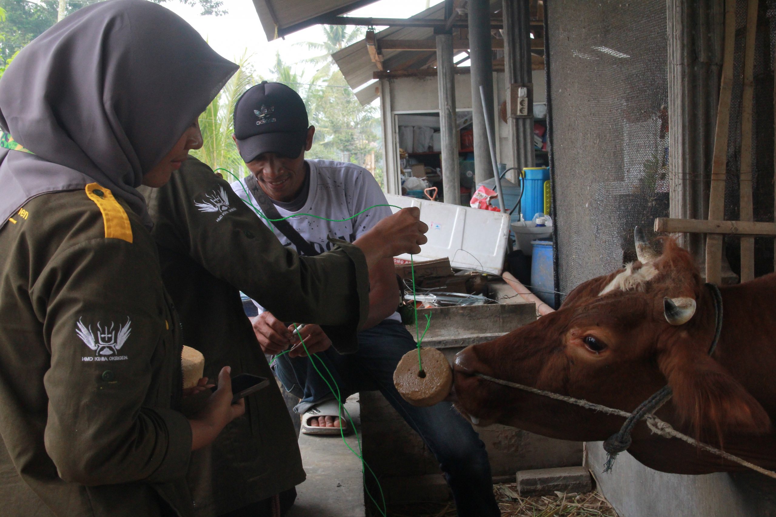 Penyuluhan Pakan Ternak dan Mineral Blok Tingkatkan Produktivitas Peternak Sukolilo